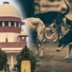 Supreme Court Orders Removal of Stray Dogs from Public Premises | Dainik Diary