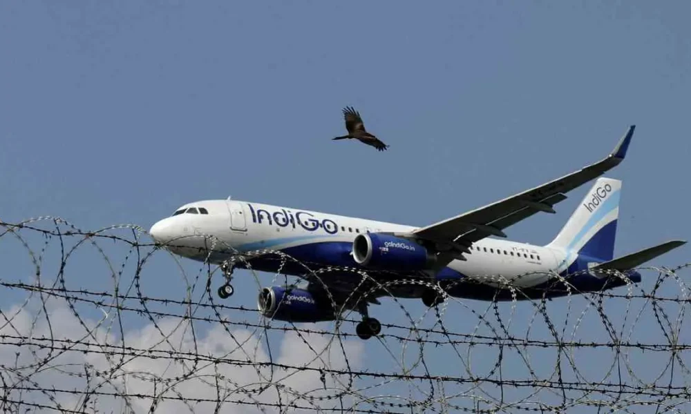 IndiGo Flight Curtailment: Busy Routes Remain Unaffected | Dainik Diary