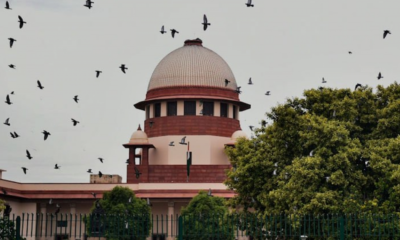 SC New Feature Image