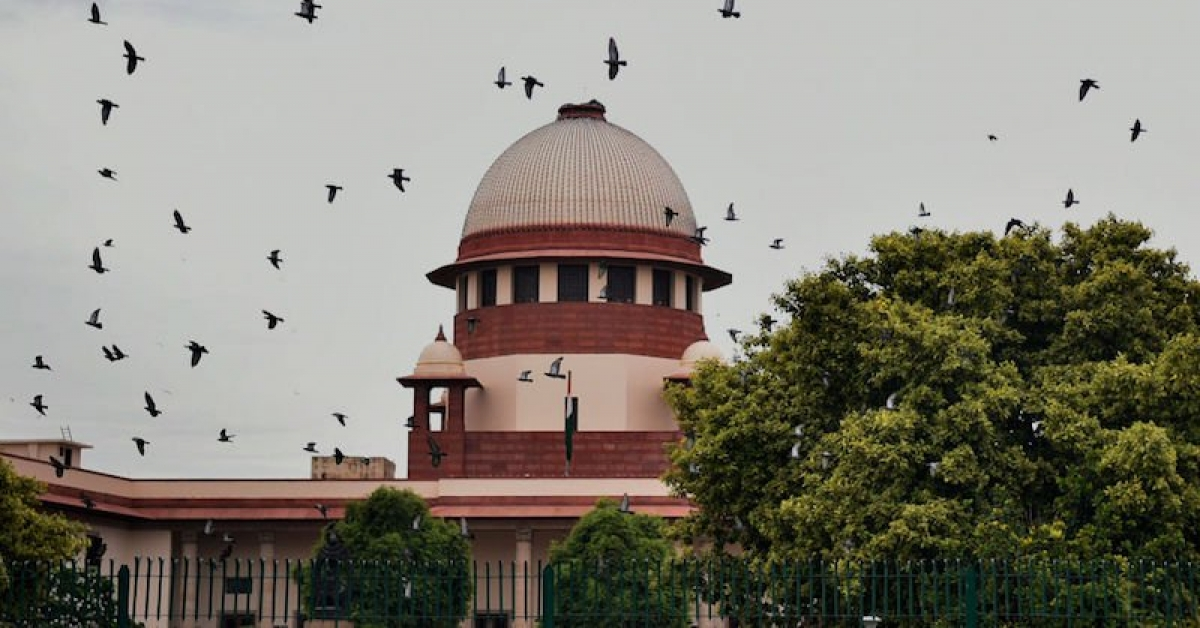 SC New Feature Image