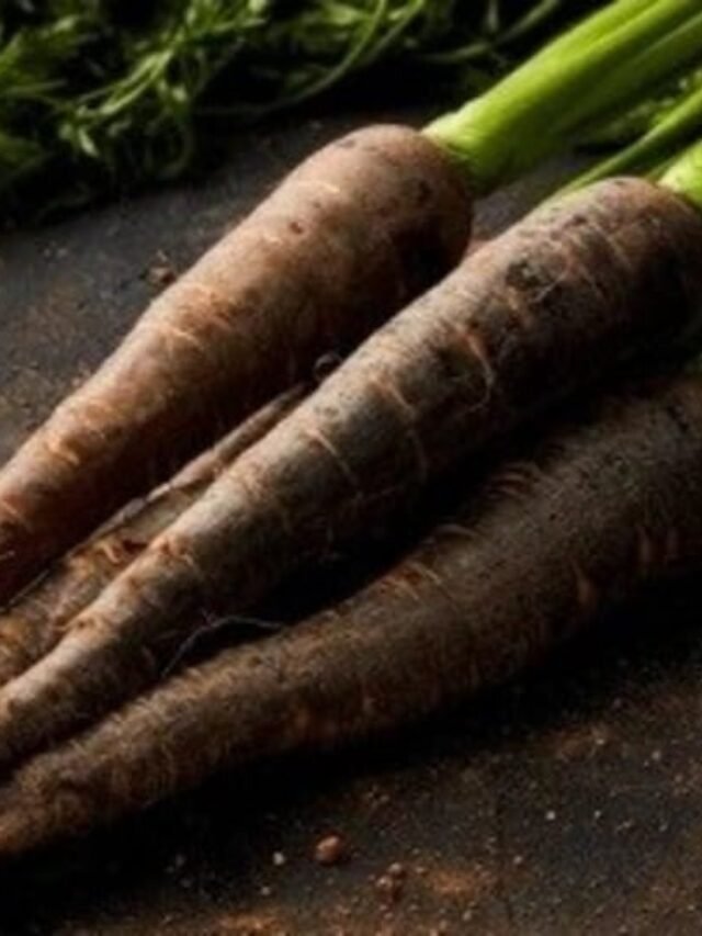 काली गाजर खाने के 5 चमत्कारी फायदे जो शरीर को अंदर से बना देते हैं मजबूत