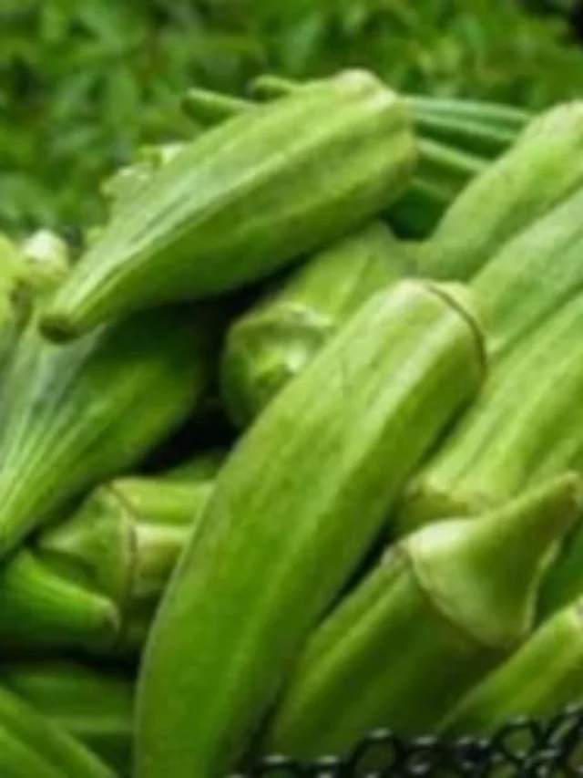 भिंडी के साथ कभी ना खाएं ये 5 चीजें, सेहत बिगड़ जाएगी