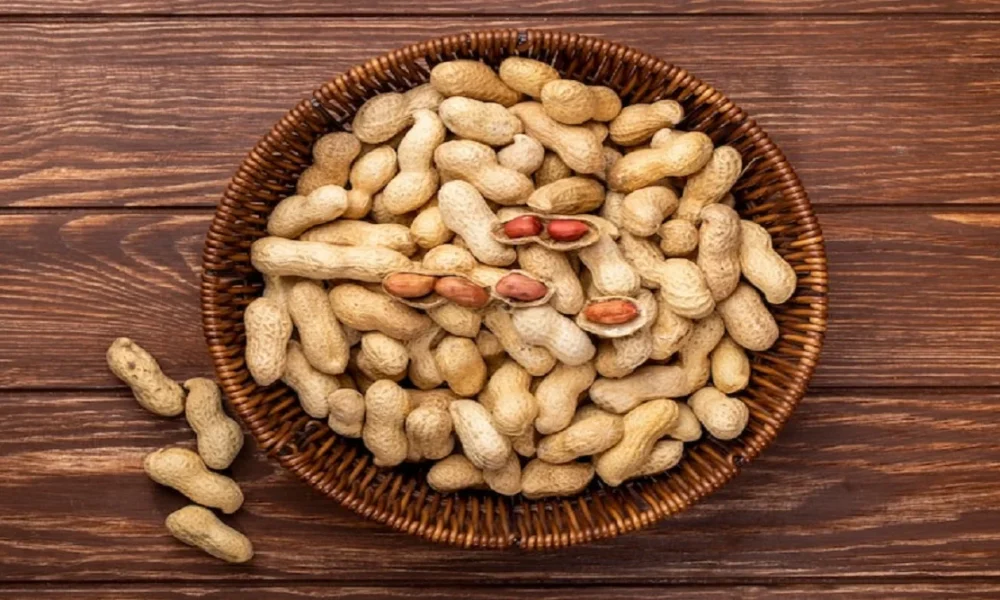 Brain Ageing and Peanuts: क्या मूंगफली दिमाग को जवान रखने में मदद करती है?