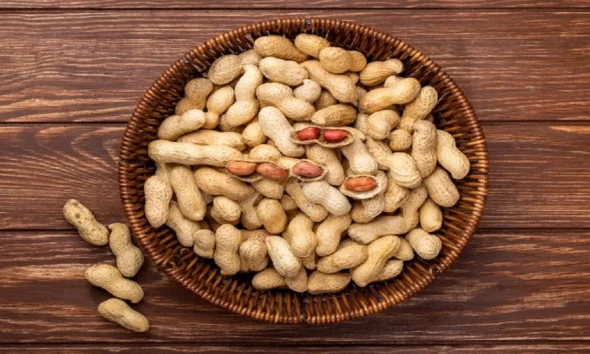 Brain Ageing and Peanuts: क्या मूंगफली दिमाग को जवान रखने में मदद करती है?