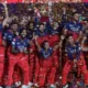 RCB Sale News: ₹17000 करोड़ में बिक सकती है रॉयल चैलेंजर्स बेंगलुरु