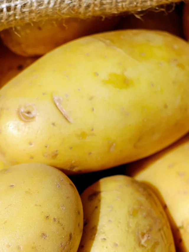 आलू खाने के 5 फायदे जो आपकी सेहत को बदल देंगे