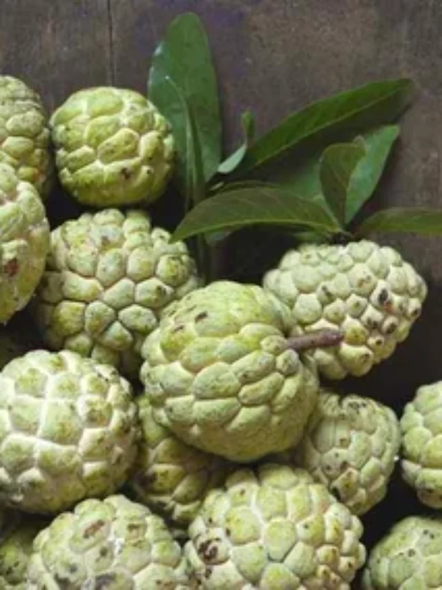 क्या आप जानते हैं शरीफा है सेहत का खजाना