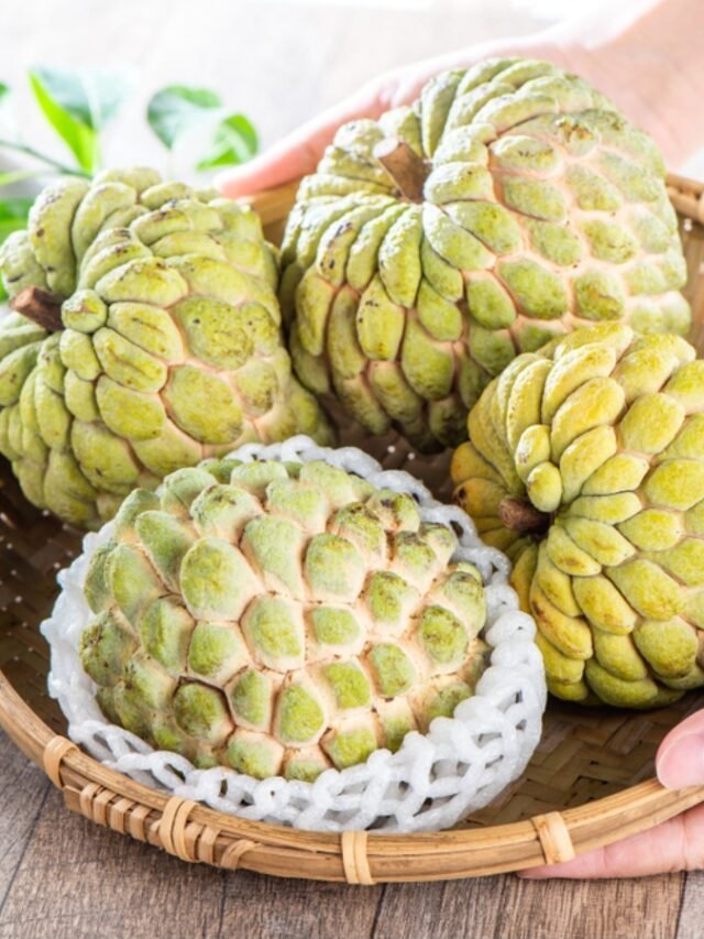 क्या आप जानते हैं शरीफा है सेहत का खजाना