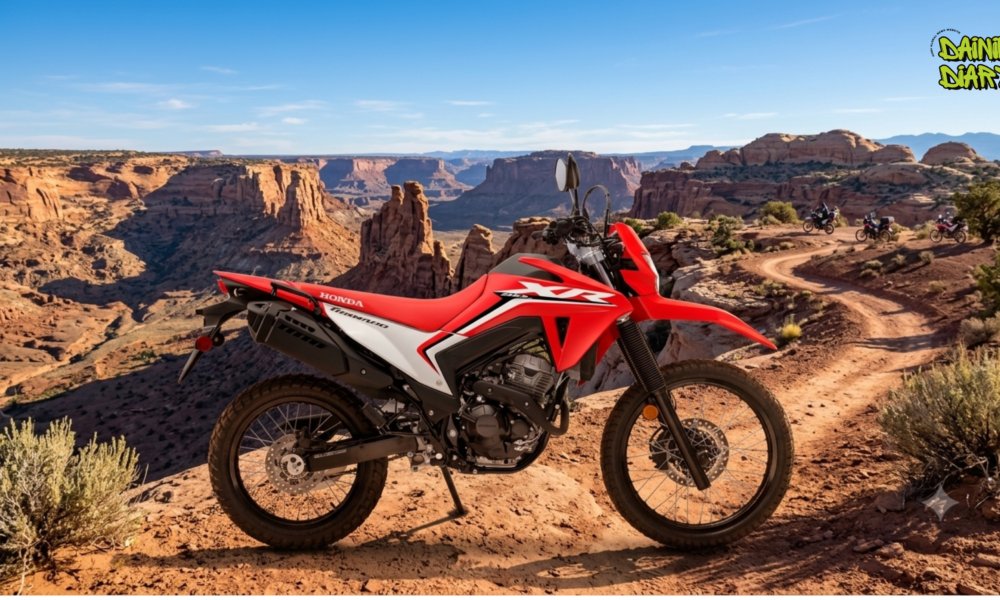Honda XR 300L Unveiled Before India Launch: Himalayan 450 Rival?