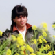 How DDLJ Changed Shah Rukh Khan’s Career and Made Him the King of Romance