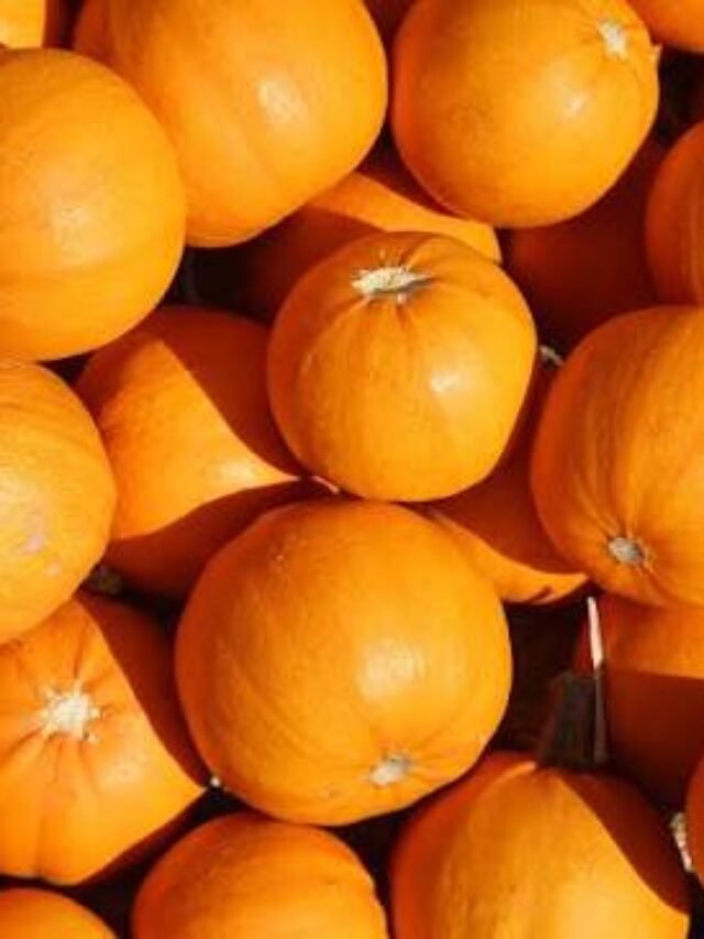 Why Pumpkin Is a Superfood You Should Eat Every Day